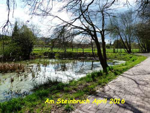 Steinbruch-Teich